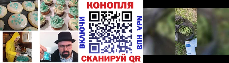 где продают   Ивангород  Canna-Cookies конопля 