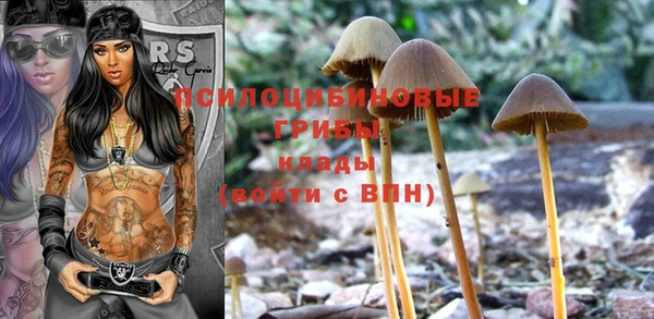 дурь Алексин